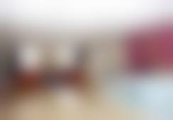 二、闫岩擅长项目