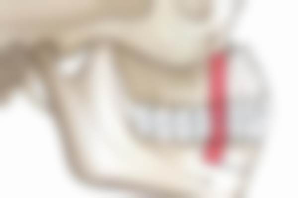 四、品川美容外科 上野院特色项目