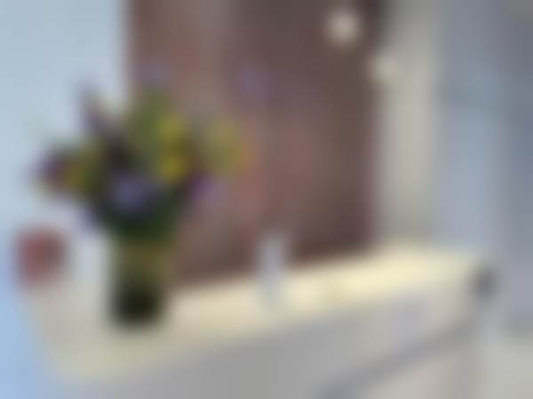 三、日本倍丽特美容整形医院诊疗项目有哪些？