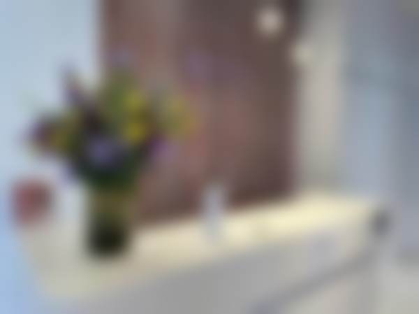 六、日本倍丽特美容整形医院价格表