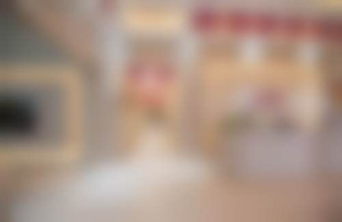 三、王朝凤技术优势