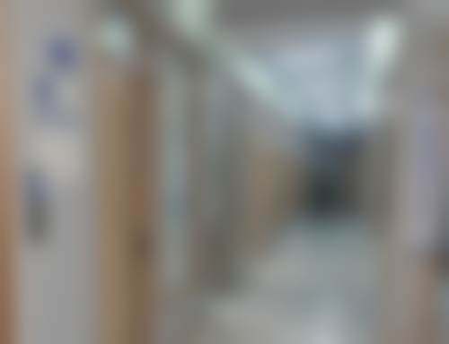 六、长春碧莲盛植发价格表