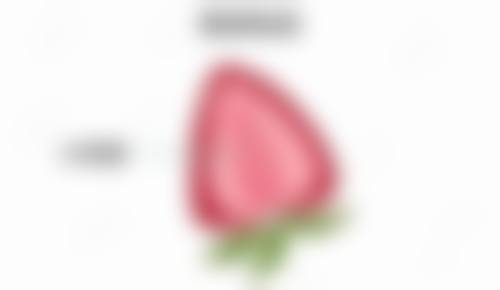 七、北京华真堂整形医疗美容预约方式