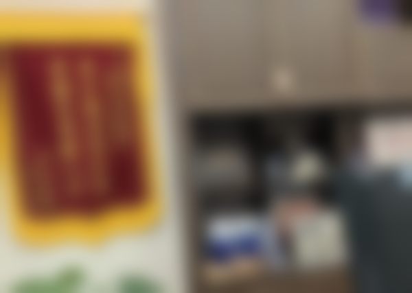 三、史密斯.里德技术优势