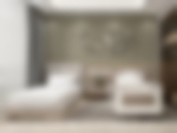 八、总结与建议