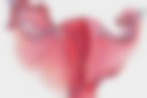 六、昭通爱丽诺美容整形价格表