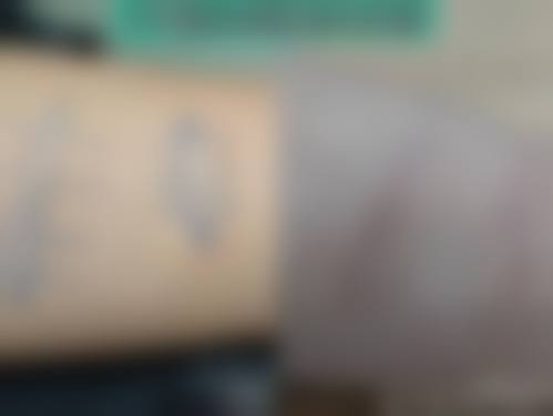 七、昭通爱丽诺美容整形地址及交通