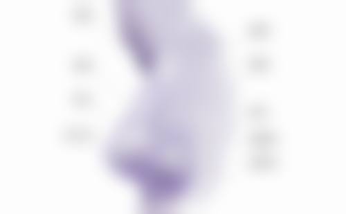 一、为何小孩疤痕修复能力强