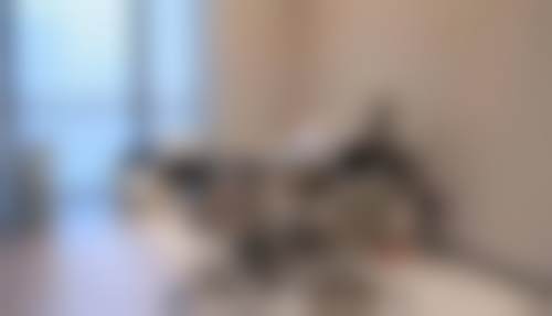 四、杭州玥相医疗美容门诊部特色项目