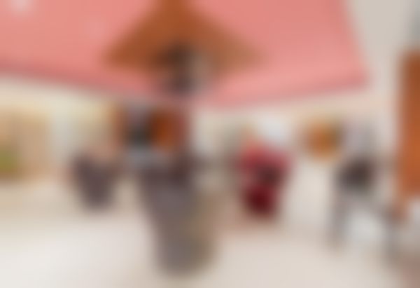 三、曹文秀技术优势