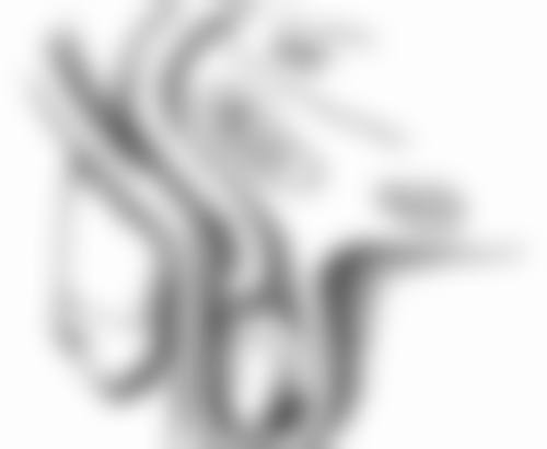 一、全切双眼皮红色线消失的大致时间