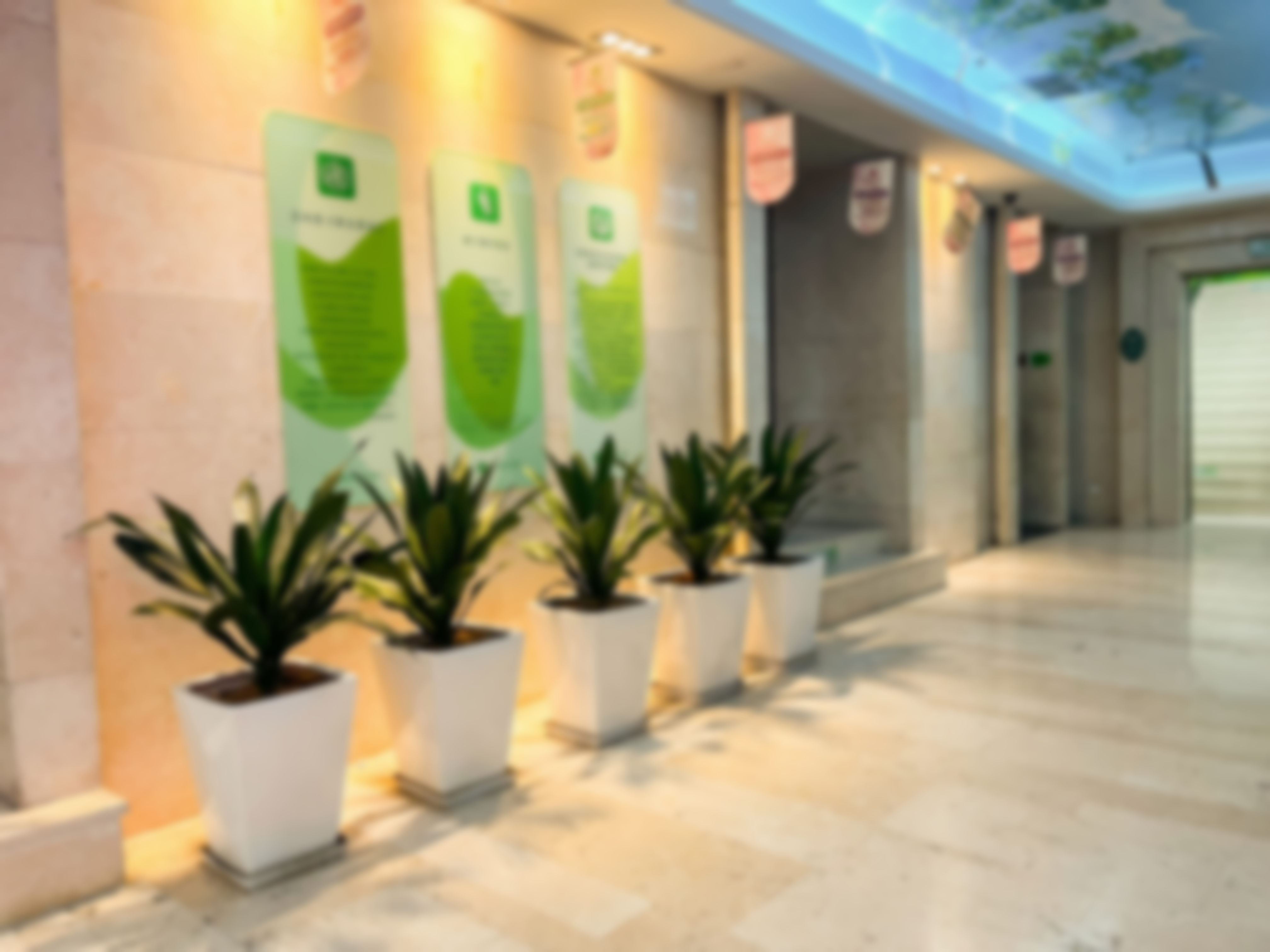 五、黄静怎么预约？