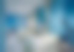 二、尹玉娟擅长项目