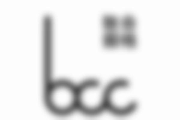 三、刘志刚技术优势