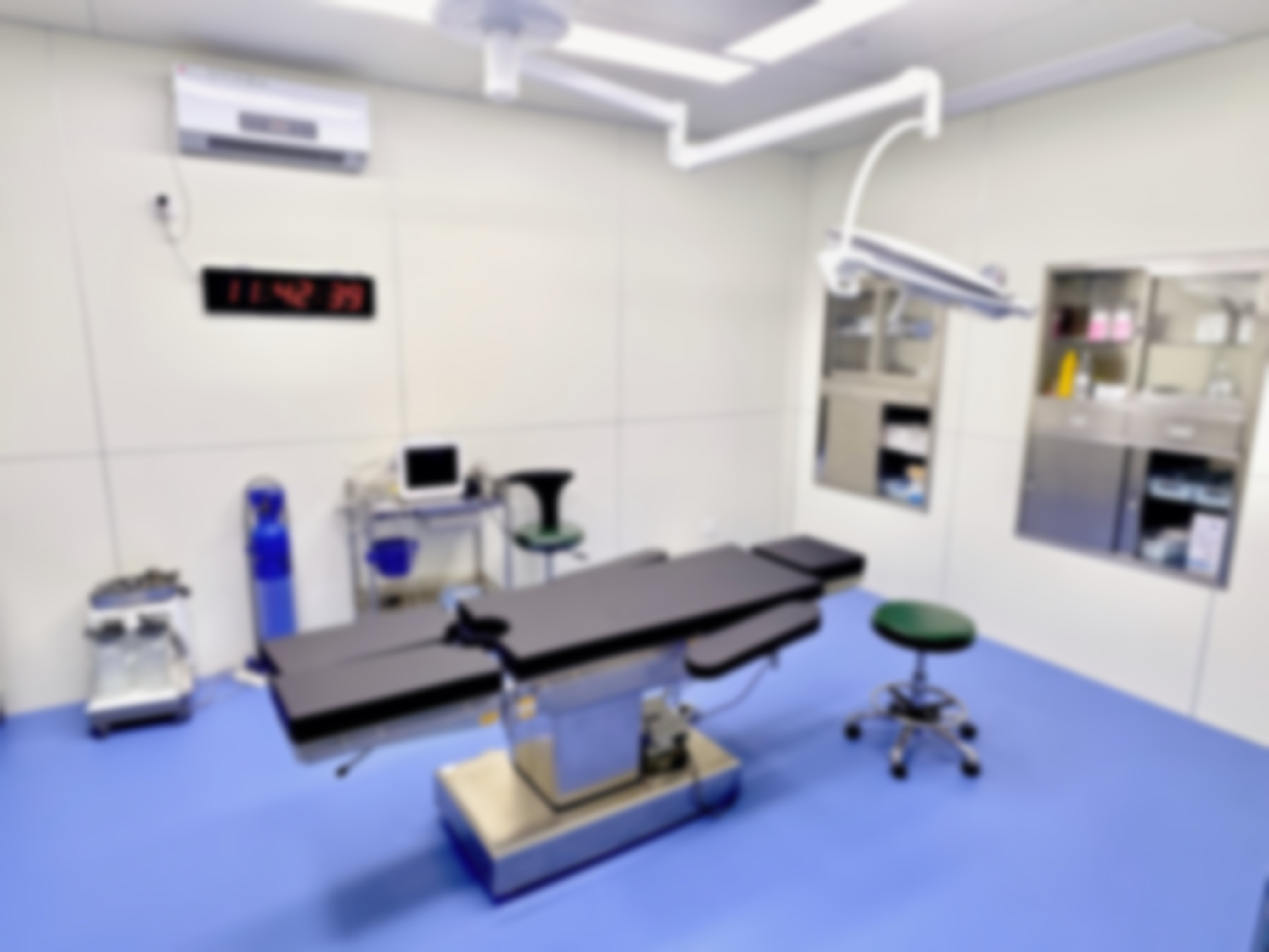 二、赵莉娟擅长项目