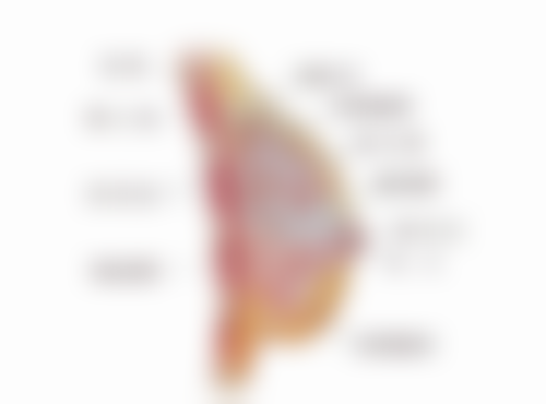 二、影响疤痕激光修复时间的关键因素