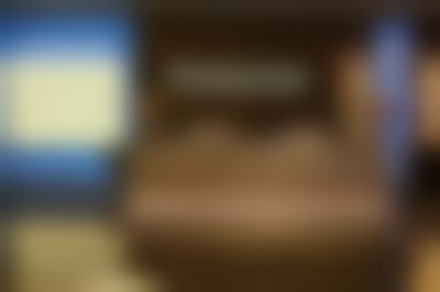 二、王晴擅长项目