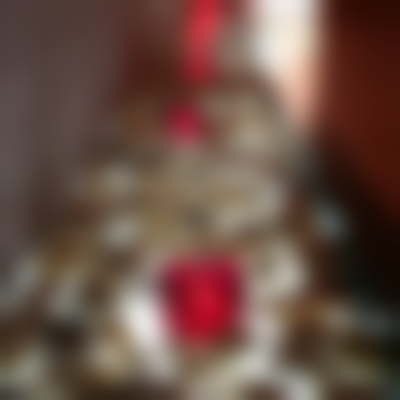 三、李旭平技术优势