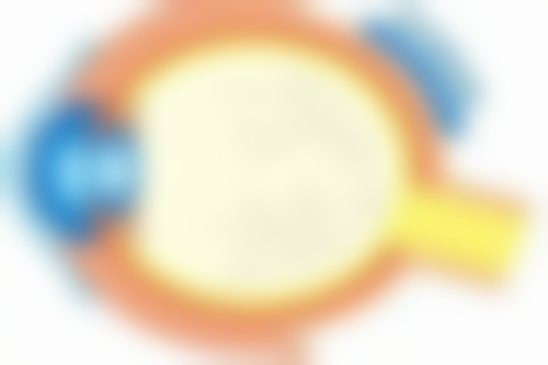 六、割双眼皮手术的费用问题