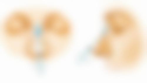 三、不同去眼袋方法的维持时间对比