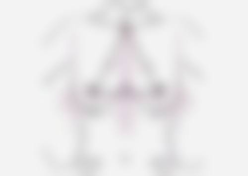 三、朱小慧技术优势