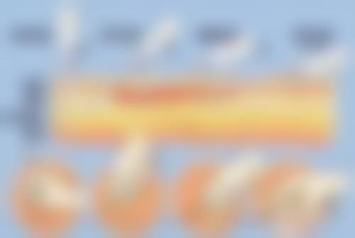 三、上海美泽医疗美容医院诊疗项目有哪些？