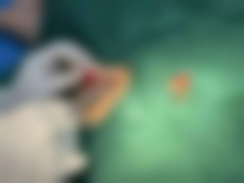 三、哈尔滨市红十字中 心医院诊疗项目有哪些?