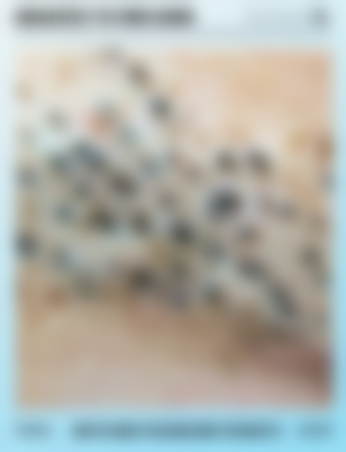 二、上海纽顿整形医疗美容门诊部怎么样?