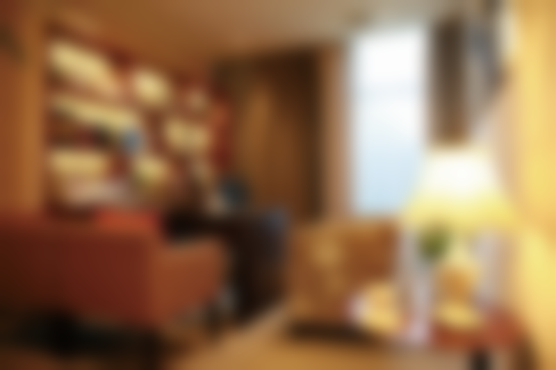 二、马秀雅擅长项目