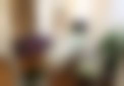 五、刘娟娟怎么预约？