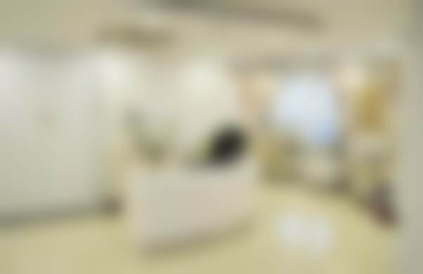 二、文永靖擅长项目