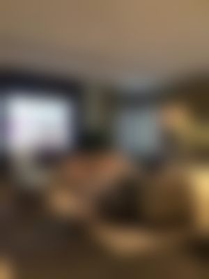 三、薛佳明技术优势