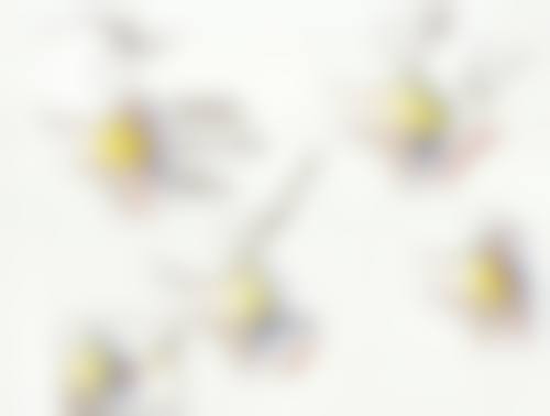 五、Youth&Young医院价格表