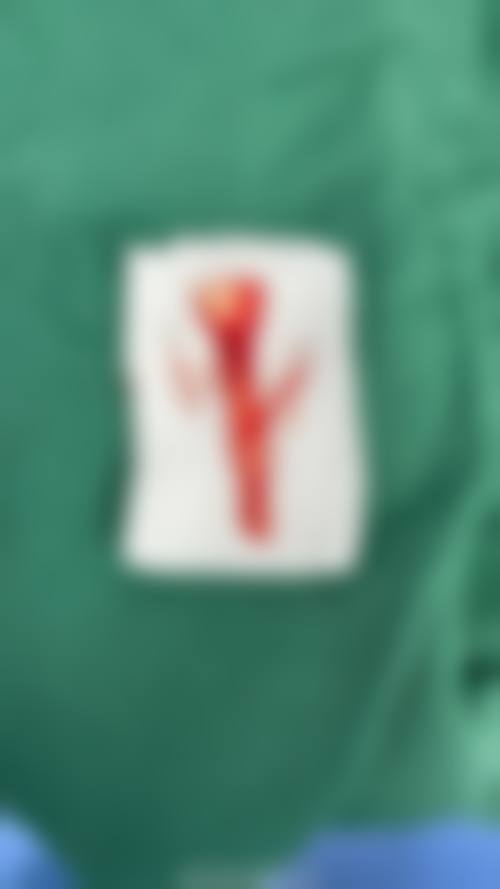 四、天津星范医疗美容门诊部特色项目