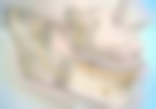 二、烧伤疤痕的分类