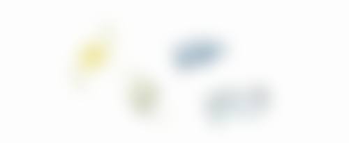 三、头发种植成效到底好不好之成效呈现