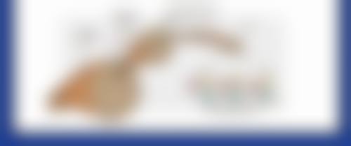 三、腹部吸脂的其他危害