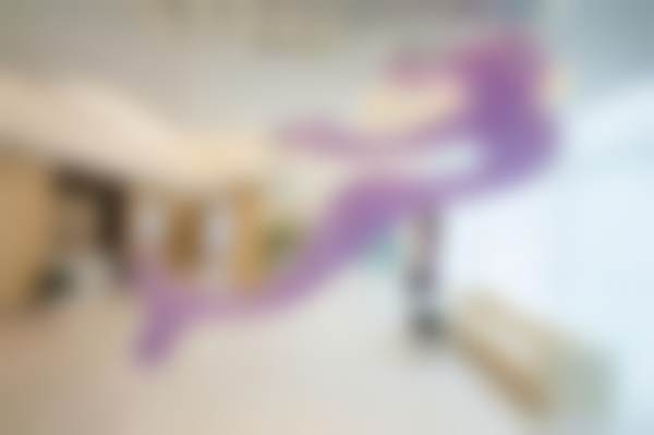 二、张承武擅长项目