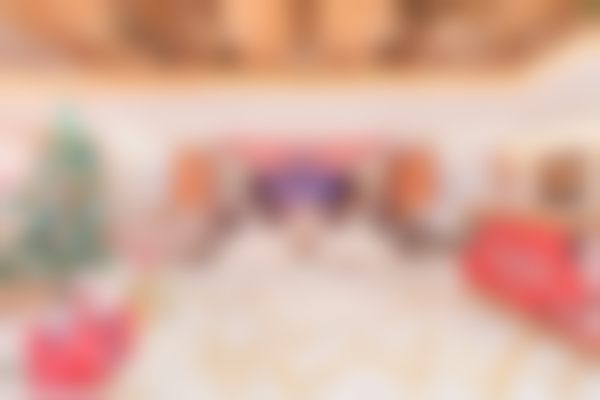 四、公主正版玻尿酸在鼻基底塑形上的特点