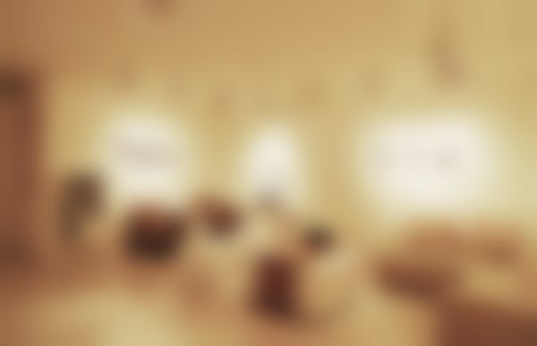 二、韩相喆擅长项目