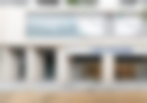 二、胡琼华擅长项目