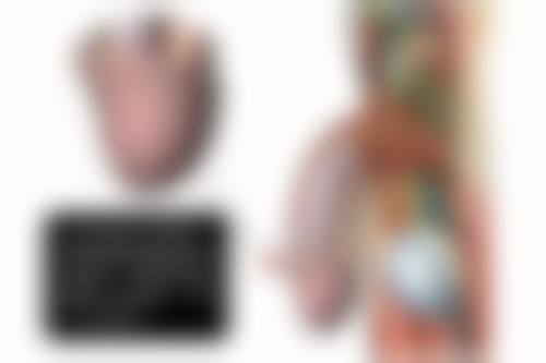 四、毛发种植的美学与成效提示