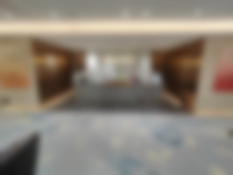 三、安姣姣技术优势