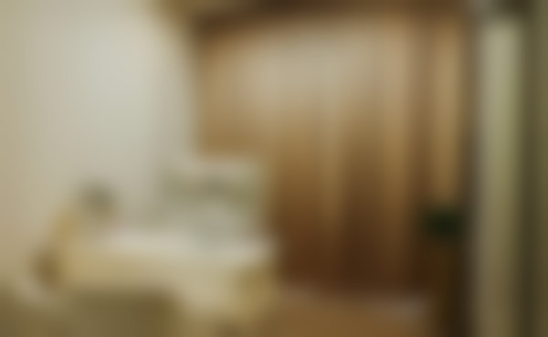 五、项目价格说明