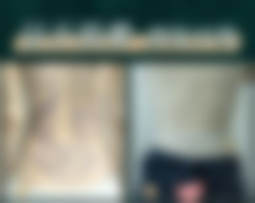 三、曾江技术优势