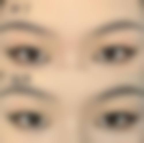 三、李猛技术优势