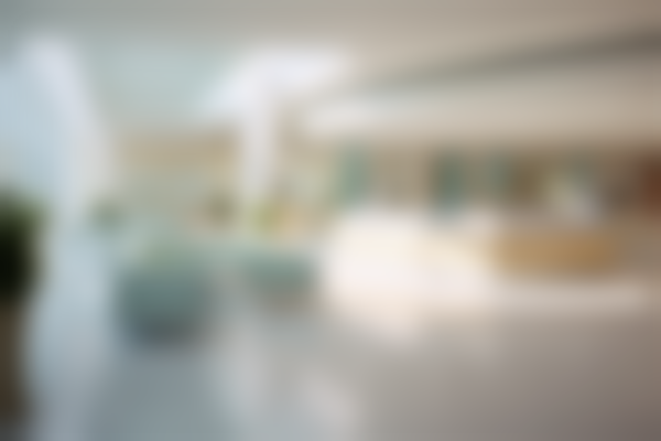 三、王红岩技术优势