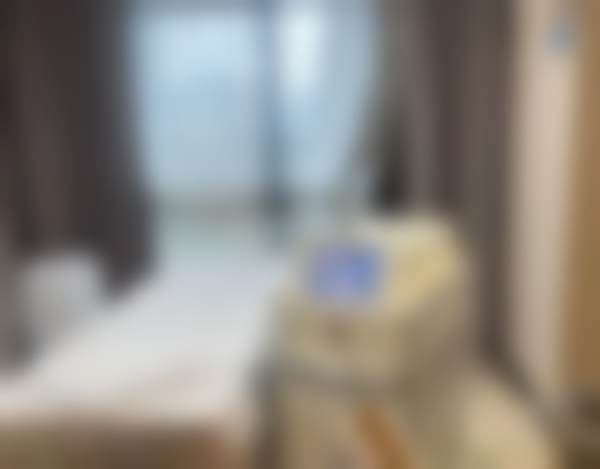 三、孙中义技术优势