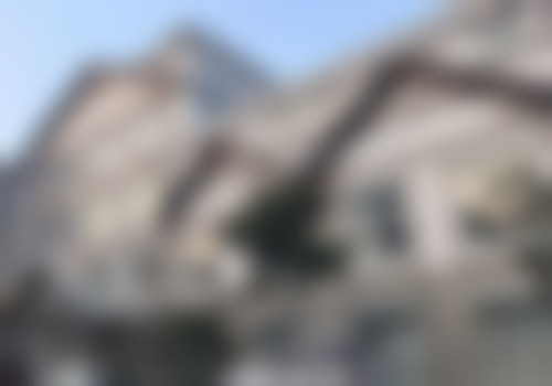 三、马秀伟技术优势