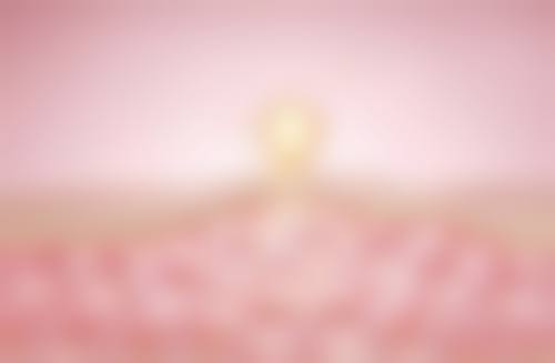 五、去黑眼圈的方法与好物